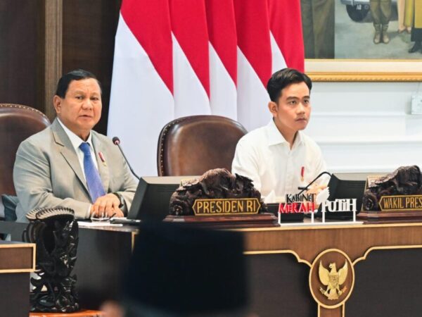 Harapan dan Kecemasan Terhadap Pemerintahan Prabowo Gibran
