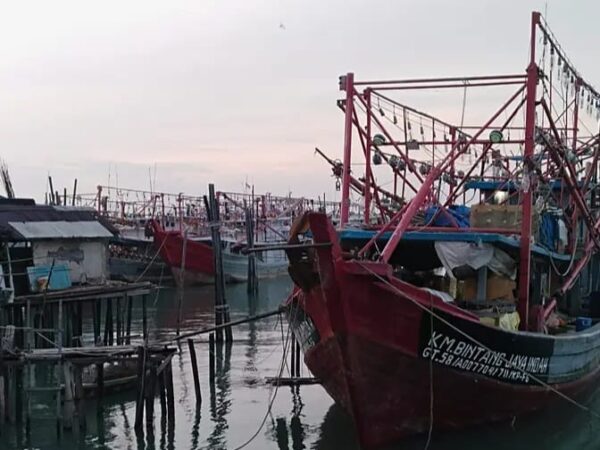 Progib Soroti BKK Karimun Tidak Serius Awasi Kapal Ikan dan Sotong